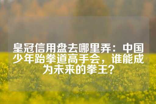 皇冠信用盘去哪里弄：中国少年跆拳道高手会，谁能成为未来的拳王？