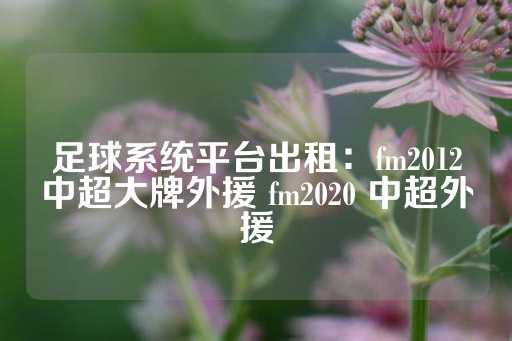 足球系统平台出租：fm2012中超大牌外援 fm2020 中超外援-第1张图片-皇冠信用盘出租