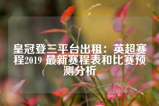 皇冠登三平台出租：英超赛程2019 最新赛程表和比赛预测分析-第1张图片-皇冠信用盘出租