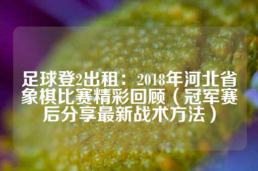 足球登2出租：2018年河北省象棋比赛精彩回顾（冠军赛后分享最新战术方法）-第1张图片-皇冠信用盘出租