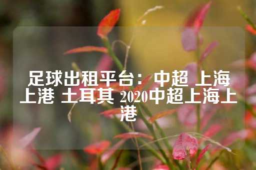 足球出租平台：中超 上海上港 土耳其 2020中超上海上港-第1张图片-皇冠信用盘出租