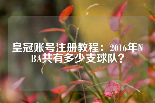 皇冠账号注册教程：2016年NBA共有多少支球队？-第1张图片-皇冠信用盘出租