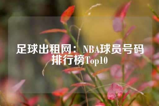 足球出租网：NBA球员号码排行榜Top10