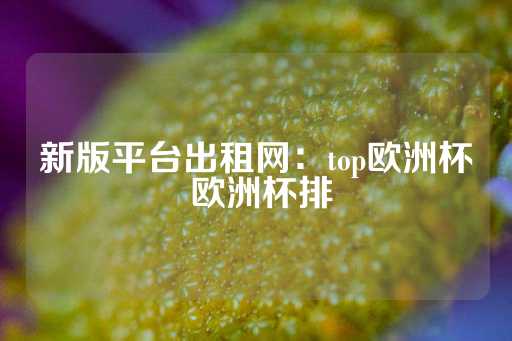 新版平台出租网：top欧洲杯 欧洲杯排