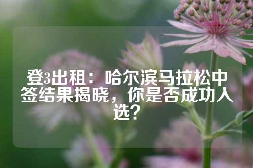 登3出租：哈尔滨马拉松中签结果揭晓，你是否成功入选？