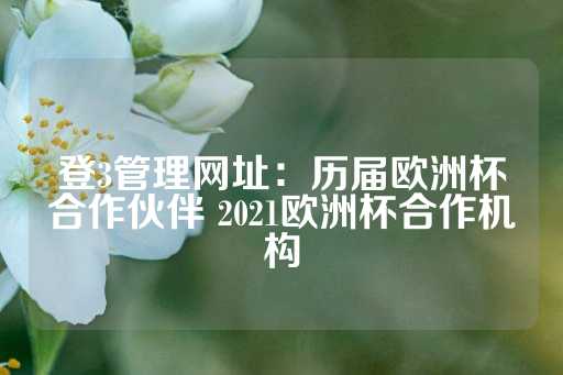 登3管理网址：历届欧洲杯合作伙伴 2021欧洲杯合作机构-第1张图片-皇冠信用盘出租