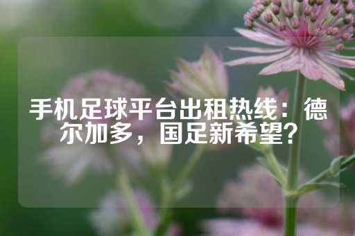 手机足球平台出租热线：德尔加多，国足新希望？