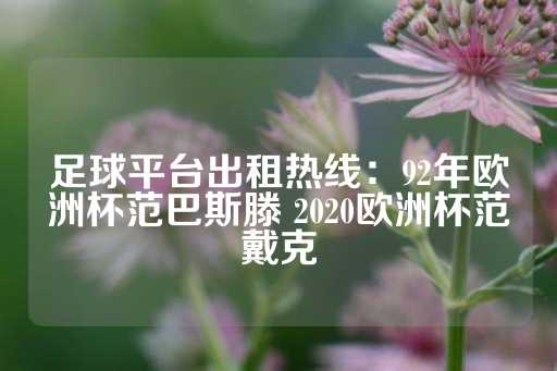 足球平台出租热线：92年欧洲杯范巴斯滕 2020欧洲杯范戴克