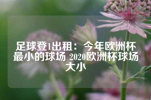 足球登1出租：今年欧洲杯最小的球场 2020欧洲杯球场大小