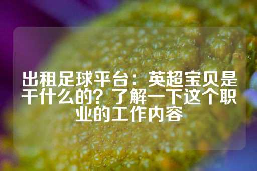 出租足球平台：英超宝贝是干什么的？了解一下这个职业的工作内容-第1张图片-皇冠信用盘出租