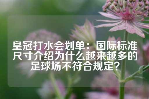 皇冠打水会划单：国际标准尺寸介绍为什么越来越多的足球场不符合规定？-第1张图片-皇冠信用盘出租