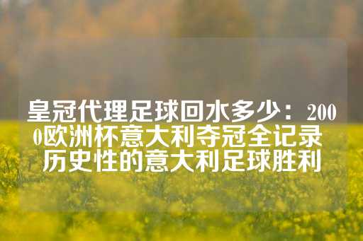 皇冠代理足球回水多少：2000欧洲杯意大利夺冠全记录 历史性的意大利足球胜利