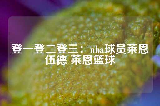 登一登二登三：nba球员莱恩伍德 莱恩篮球-第1张图片-皇冠信用盘出租