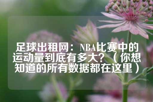 足球出租网：NBA比赛中的运动量到底有多大？（你想知道的所有数据都在这里）-第1张图片-皇冠信用盘出租