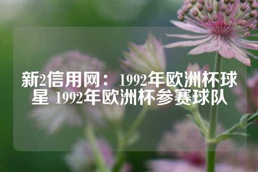 新2信用网：1992年欧洲杯球星 1992年欧洲杯参赛球队