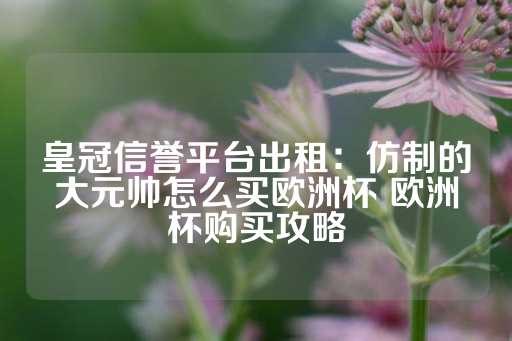 皇冠信誉平台出租：仿制的大元帅怎么买欧洲杯 欧洲杯购买攻略-第1张图片-皇冠信用盘出租