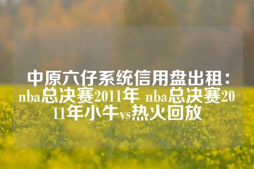 中原六仔系统信用盘出租：nba总决赛2011年 nba总决赛2011年小牛vs热火回放-第1张图片-皇冠信用盘出租