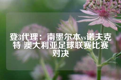 登3代理：南墨尔本vs诺夫克特 澳大利亚足球联赛比赛对决-第1张图片-皇冠信用盘出租