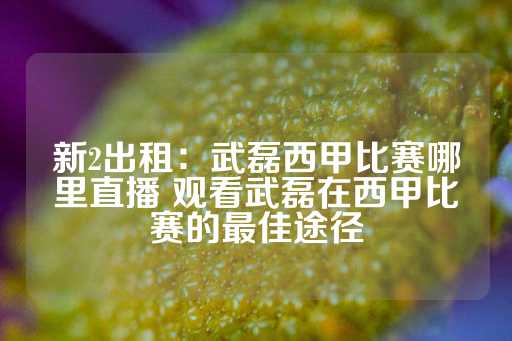 新2出租：武磊西甲比赛哪里直播 观看武磊在西甲比赛的最佳途径