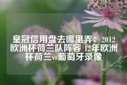 皇冠信用盘去哪里弄：2012欧洲杯荷兰队阵容 12年欧洲杯荷兰vs葡萄牙录像