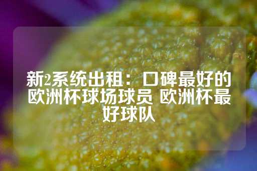 新2系统出租：口碑最好的欧洲杯球场球员 欧洲杯最好球队