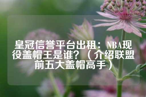 皇冠信誉平台出租：NBA现役盖帽王是谁？（介绍联盟前五大盖帽高手）