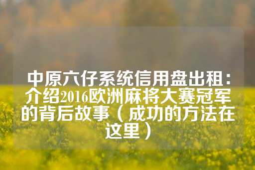 中原六仔系统信用盘出租：介绍2016欧洲麻将大赛冠军的背后故事（成功的方法在这里）