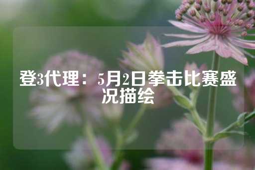 登3代理：5月2日拳击比赛盛况描绘