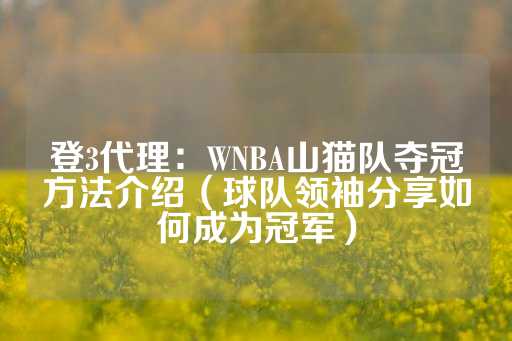 登3代理：WNBA山猫队夺冠方法介绍（球队领袖分享如何成为冠军）-第1张图片-皇冠信用盘出租