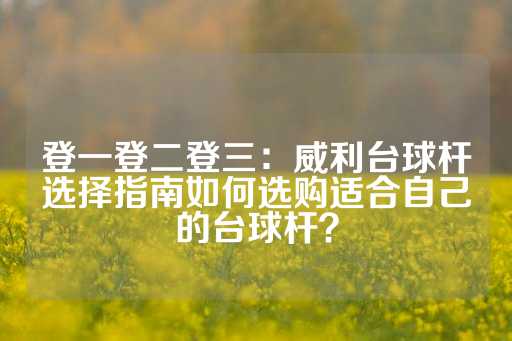 登一登二登三：威利台球杆选择指南如何选购适合自己的台球杆？