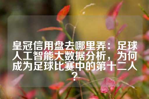 皇冠信用盘去哪里弄：足球人工智能大数据分析，为何成为足球比赛中的第十二人？