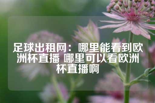 足球出租网：哪里能看到欧洲杯直播 哪里可以看欧洲杯直播啊