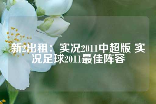 新2出租：实况2011中超版 实况足球2011最佳阵容-第1张图片-皇冠信用盘出租