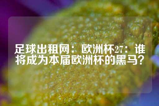 足球出租网：欧洲杯27：谁将成为本届欧洲杯的黑马？