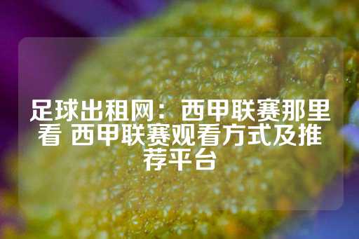 足球出租网：西甲联赛那里看 西甲联赛观看方式及推荐平台-第1张图片-皇冠信用盘出租