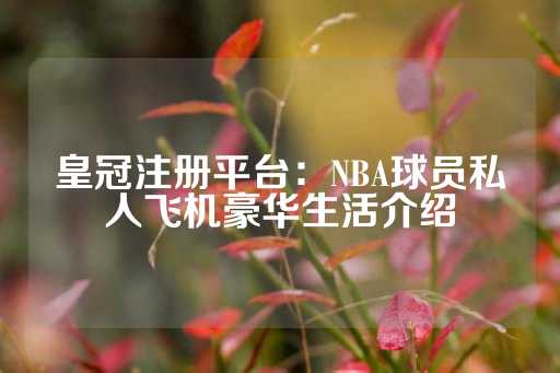 皇冠注册平台：NBA球员私人飞机豪华生活介绍-第1张图片-皇冠信用盘出租