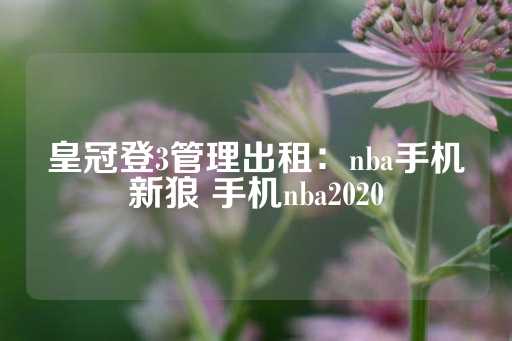 皇冠登3管理出租：nba手机新狼 手机nba2020-第1张图片-皇冠信用盘出租