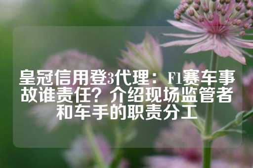 皇冠信用登3代理：F1赛车事故谁责任？介绍现场监管者和车手的职责分工-第1张图片-皇冠信用盘出租