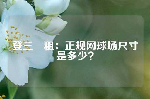 登三岀租：正规网球场尺寸是多少？-第1张图片-皇冠信用盘出租