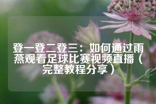 登一登二登三：如何通过雨燕观看足球比赛视频直播（完整教程分享）-第1张图片-皇冠信用盘出租