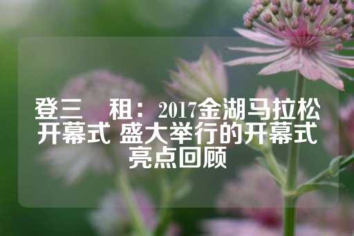 登三岀租：2017金湖马拉松开幕式 盛大举行的开幕式亮点回顾