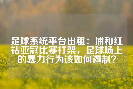 足球系统平台出租：浦和红钻亚冠比赛打架，足球场上的暴力行为该如何遏制？