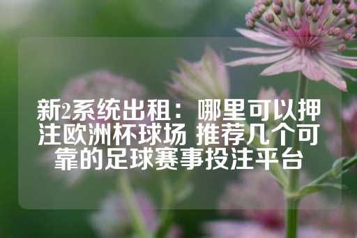 新2系统出租：哪里可以押注欧洲杯球场 推荐几个可靠的足球赛事投注平台