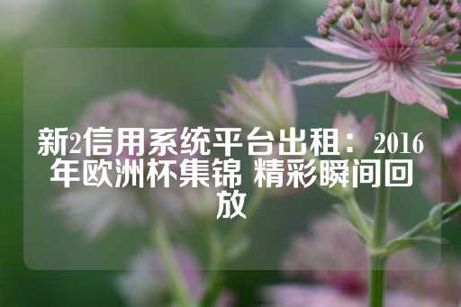 新2信用系统平台出租：2016年欧洲杯集锦 精彩瞬间回放-第1张图片-皇冠信用盘出租