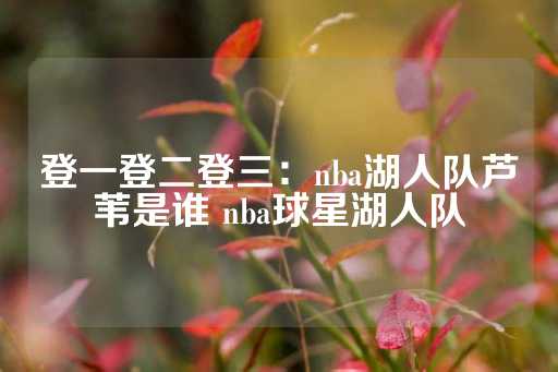 登一登二登三：nba湖人队芦苇是谁 nba球星湖人队-第1张图片-皇冠信用盘出租