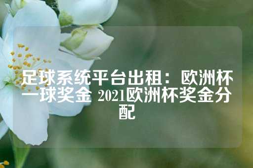 足球系统平台出租：欧洲杯一球奖金 2021欧洲杯奖金分配