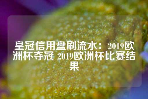 皇冠信用盘刷流水：2019欧洲杯夺冠 2019欧洲杯比赛结果