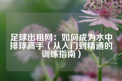 足球出租网：如何成为水中排球高手（从入门到精通的训练指南）