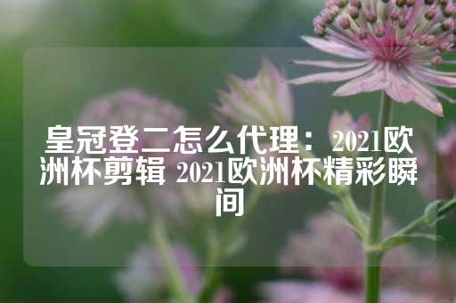 皇冠登二怎么代理：2021欧洲杯剪辑 2021欧洲杯精彩瞬间-第1张图片-皇冠信用盘出租