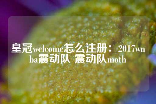 皇冠welcome怎么注册：2017wnba震动队 震动队moth